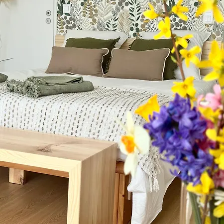 Apartman T2 Cosy