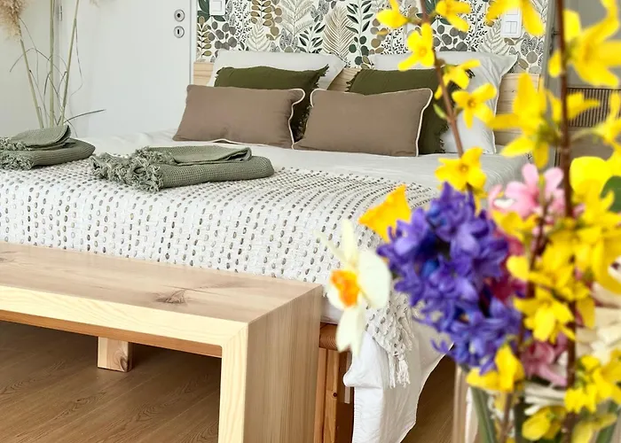 Apartman T2 Cosy